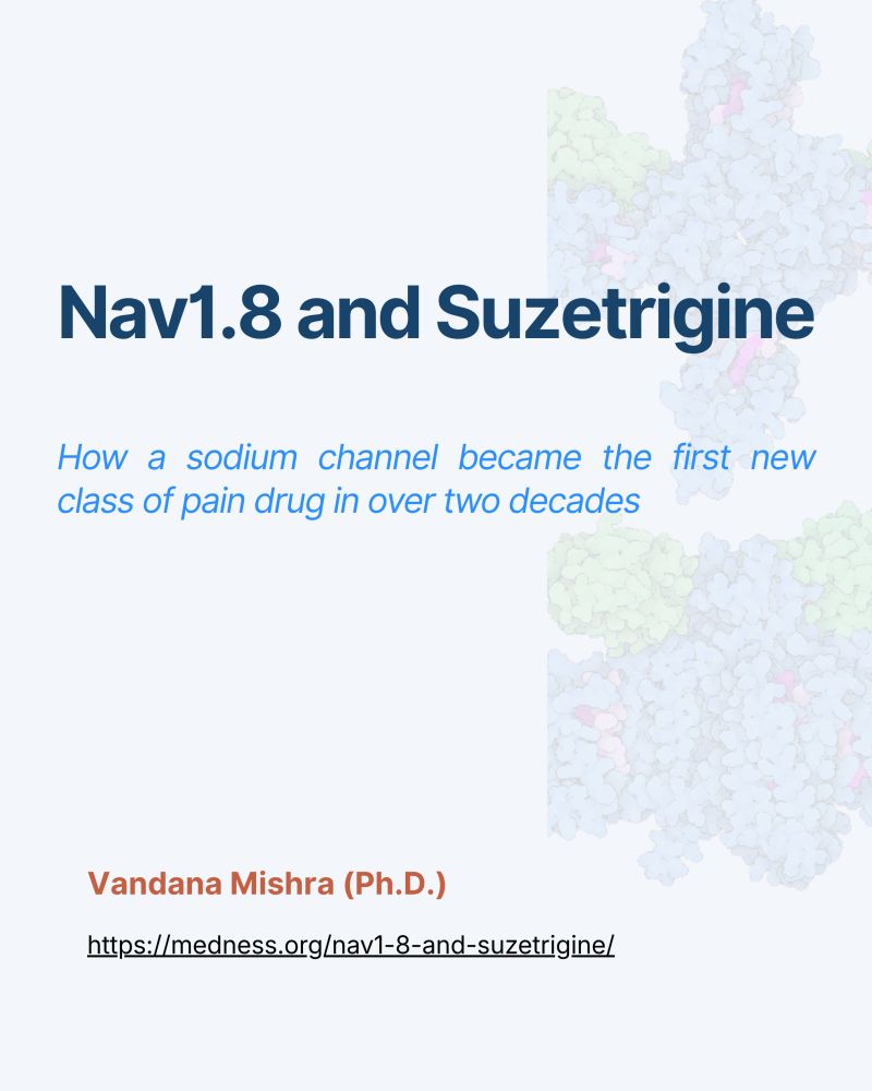 From Nav1.8 to Suzetrigine: A New Approach to Pain Relief